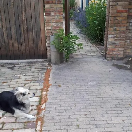 Blumenhaus Apartmán Velten