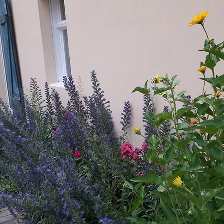 Apartment Blumenhaus Velten