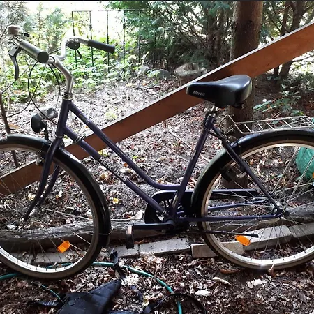 Apartmán Blumenhaus Velten