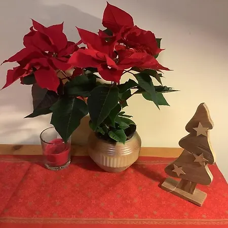 Blumenhaus *