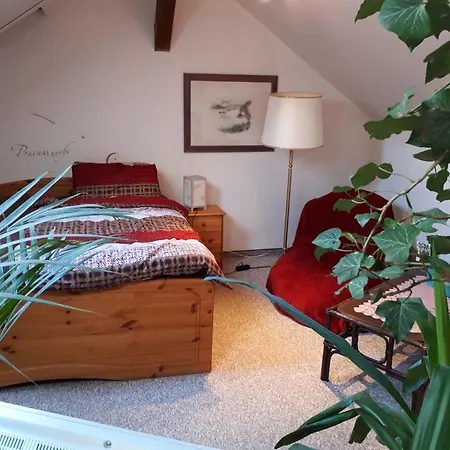 Blumenhaus *