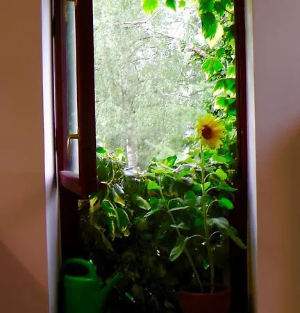 Apartmán Blumenhaus *